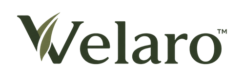 Velaro